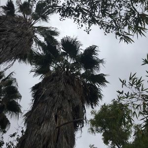 Meet your Posher, Kylee